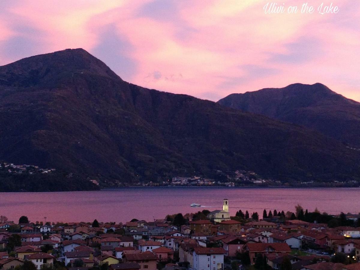 Ulivi On The Lake Dongo Exterior foto